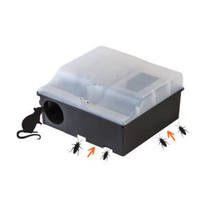 FUSION BOX Transparent