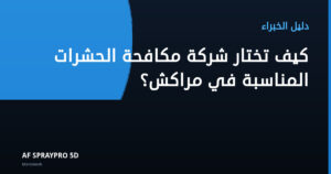 كيف تختار شركة مكافحة الحشرات المناسبة في مراكش؟