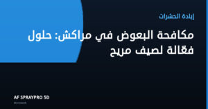 مكافحة البعوض في مراكش: حلول فعّالة لصيف مريح