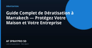 Guide Complet de Dératisation à Marrakech — Protégez Votre Maison et Votre Entreprise