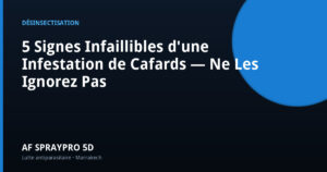 5 Signes Infaillibles d'une Infestation de Cafards — Ne Les Ignorez Pas