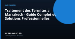 Traitement des Termites a Marrakech - Guide Complet et Solutions Professionnelles